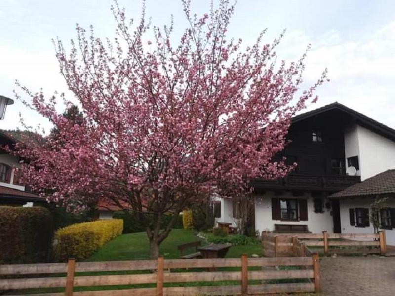 Appartement Gipfelblick Am Woessenerbach à Unterwössen Extérieur photo